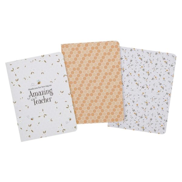 Notebook Set 3pc Amazing Teacher