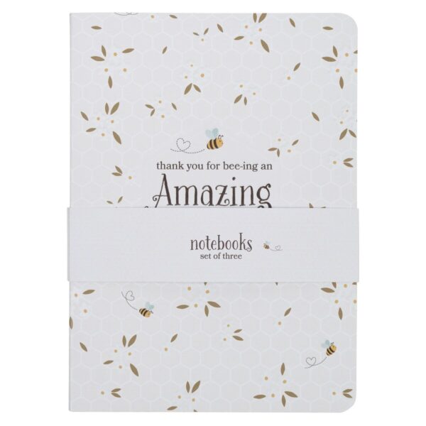 Notebook Set 3pc Amazing Teacher - Image 2