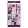 Magnetic Bookmark Set Confía en el Señor Prov. 3:5