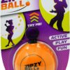 Zipzy Ball