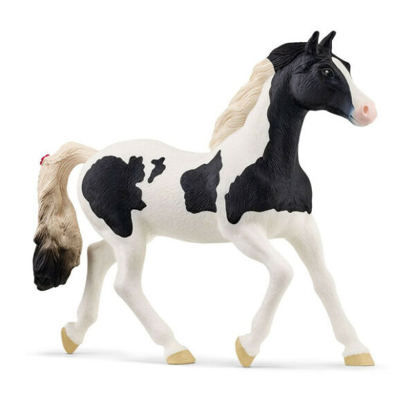 Holstein Mare