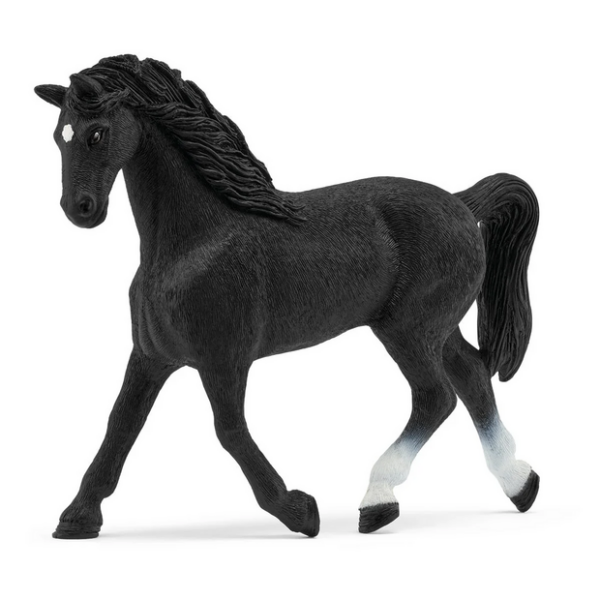 Andalusian Mare