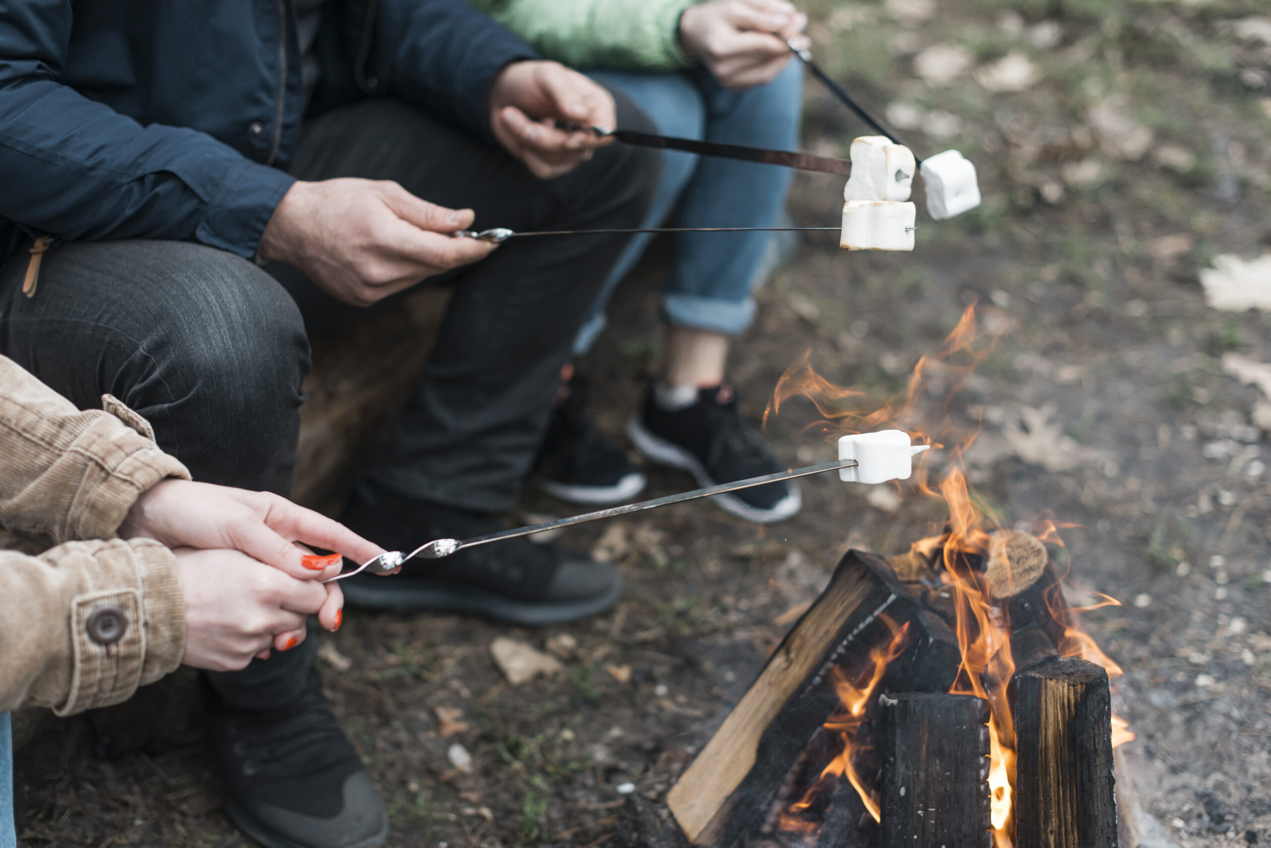 Outdoor Cooking Equipment 14 roasting marshmallows over the fire